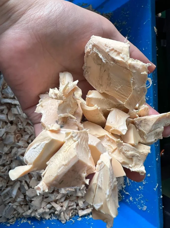 Rigid plastic material after shredding Rigid plastic material after shredding
