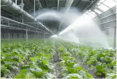 Fire Sprinkler Pipes for Agricultural Facilities Fire Sprinkler Pipes for Agricultural Facilities
